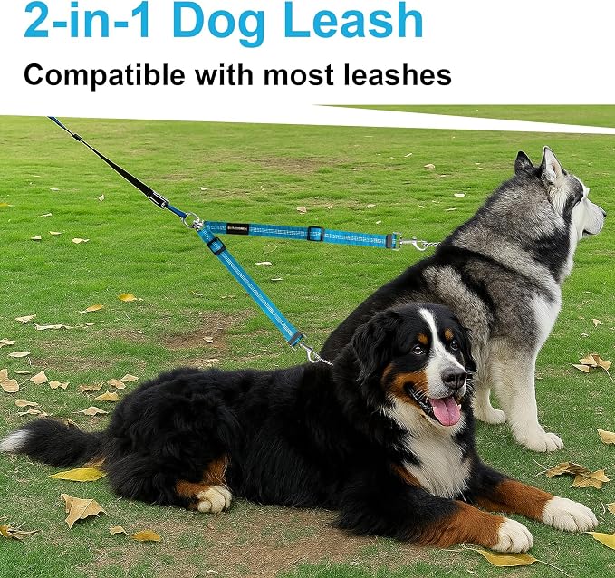 MingXpet Double Dog Leash for Two Dogs, No Pull Dog Leash, 360° Swivel No Tangle for Large Dogs Walking & Training, Shock Absorbing Reflective Bungee, Blue - Image 6