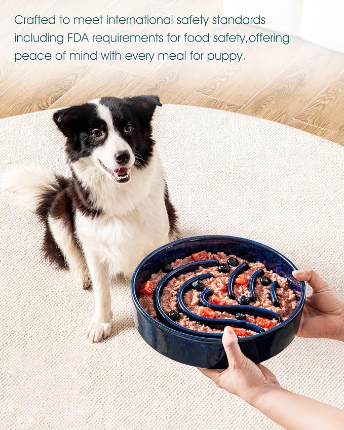 vancasso Slow Feeder Dog Bowl, 3 Cup Ceramic Slow Feeding Food Dish for Large Breed, Puzzle Dog Food Bowl for Fast Eater, Blue - Image 6