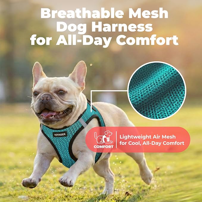 Voyager Step-in Air Dog Vest Harness - Turquoise 2-Tone, Medium | 16 - 18" in Chest, Reflective Bands, All Weather Breathable Air Mesh, Cats Compatible, Lightweight, Fast Drying - Image 4