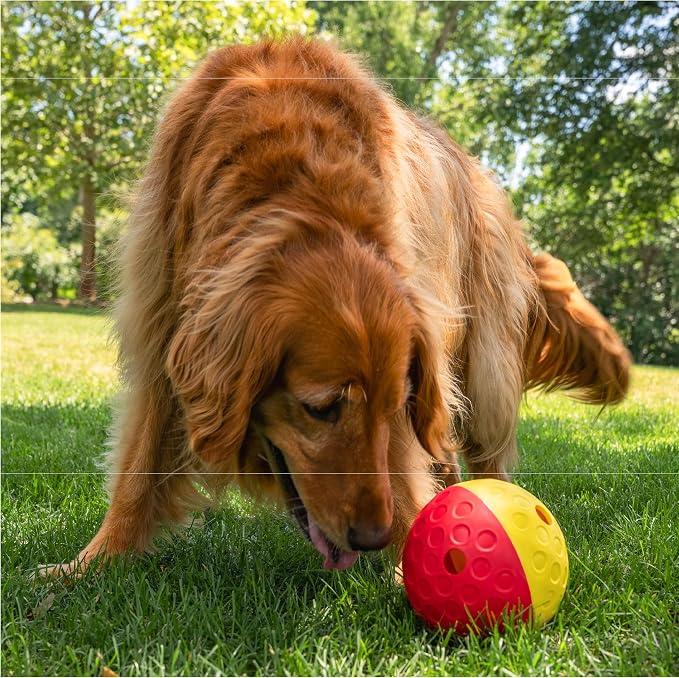 Outward Hound Nina Ottosson Treat Tumble Dog Toy Puzzle Ball, 5.8" | Level 1 Easy, Food-Dispensing Ball, Holds 1 Cup Kibble or Treats, No BPA, Interactive Enrichment, Dogs & Puppies - Image 8