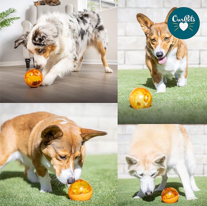 OurPet's IQ Treat Ball Interactive Food Dispensing Dog Toy , Assorted Colors | Fill with kibble or snacks to reward play, keeps pups busy, engaged and mentally stimulated during meal times at home daily - Image 8