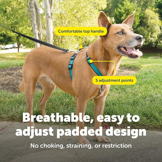 PetSafe 3 in 1 No-Pull Dog Harness - Walk, Train or Travel - Helps Prevent Pets from Pulling on Walks - Seatbelt Loop Doubles as Quick Access Handle - Reflective Accents - Medium, Teal | Rests on Chest Not Throat to Reduce Pulling, 5 Adjustment Points,... - Image 4