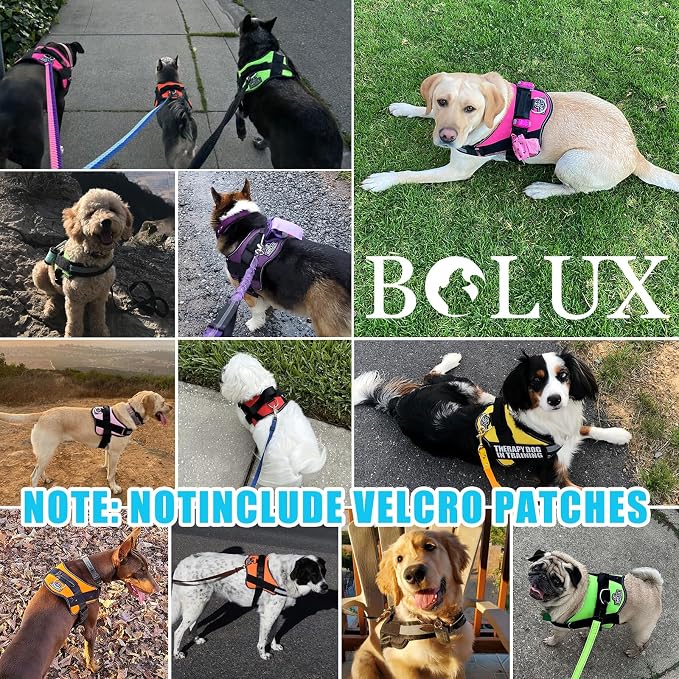 Dog Harness, No-Pull Reflective Dog Vest, Breathable Adjustable Pet Harness with Handle for Outdoor Walking - No More Pulling, Tugging or Choking (OceanicBlue, Medium (Pack of 1)) - Image 7
