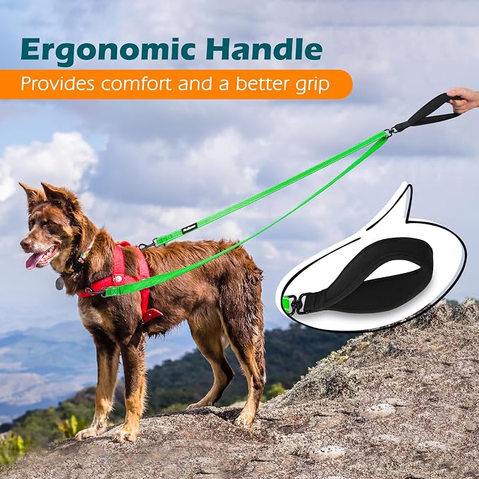 PetBonus Two Point Control Dog Leash, No Tangle Training Walking Leashes | Soft Padded Handle, Reflective, Works with No Pull Harnesses, Converts to Single Lead for Medium Large Dogs, Grass Green - Image 5