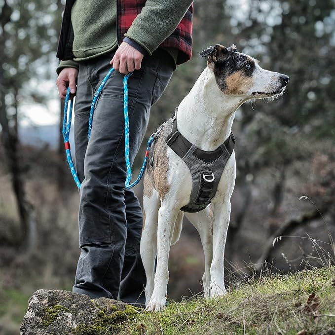 Kurgo Journey Air Dog Harness, Black, Extra Small | Padded Chest, Ripstop Outer & Breathable Mesh, Back Assist Handle, Rust-Free Aluminum Hardware, Reflective Trim - Image 4