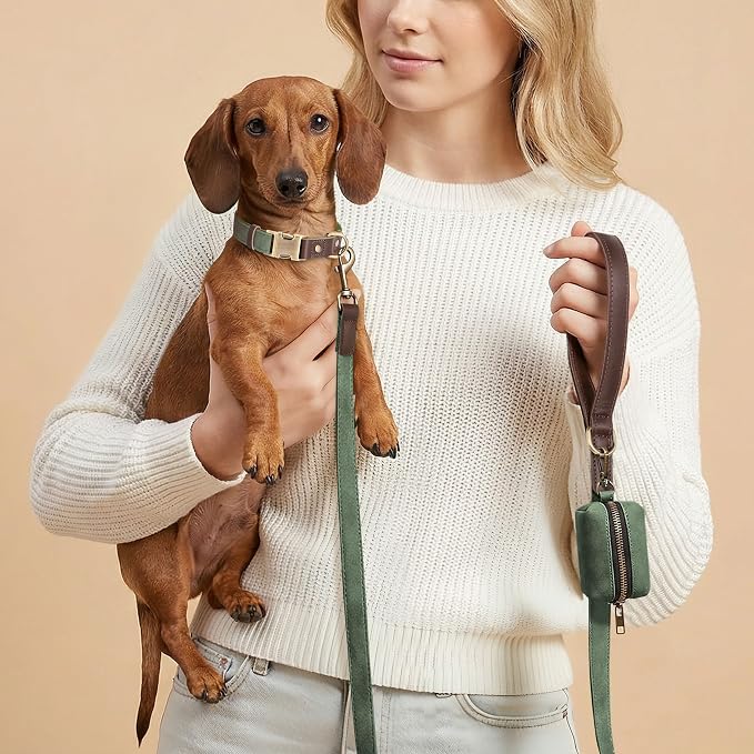PU Leather Dog Leash for Small Dogs, 5ft Soft Padded Handle, Green | Comfortable Grip for Daily Walking Training, Full Control, Metal D-ring, Tangle-Free 360° Swivel Clasp, Easy to Clean, 5/8in - Image 2