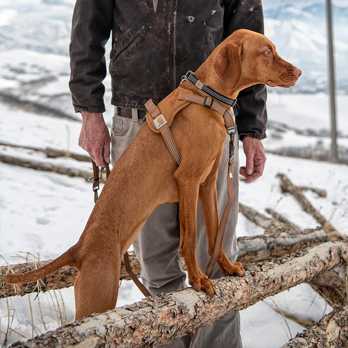 Carhartt Nylon Duck No Pull Dog Harness Carhartt Brown S | Fully Adjustable Dog Harness with Quick Control Handle and Reflective Accents - Image 5