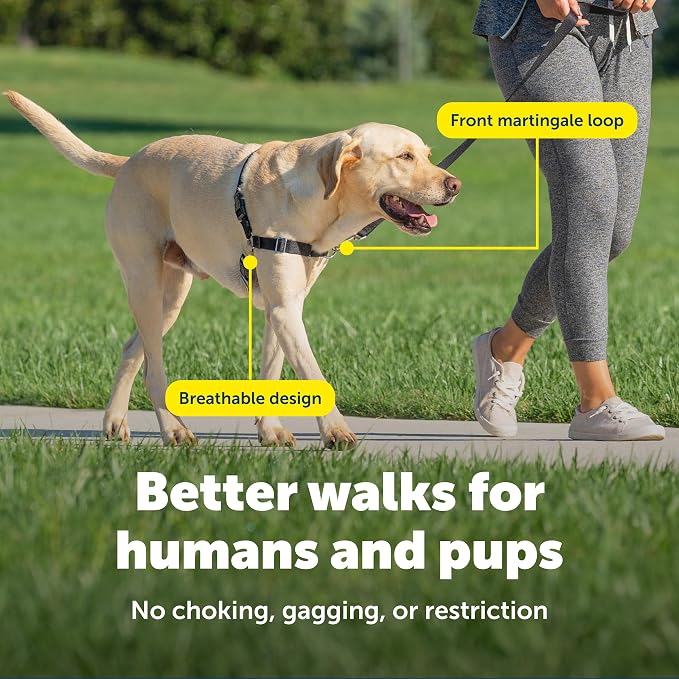 PetSafe Easy Walk Harness, No Pull Dog Harness, Medium, Raspberry | Patented Martingale Loop Gives Gradual Shoulder Pressure to Stop Pulling, Front-Chest Leash Clip Prevents Gagging - Image 4