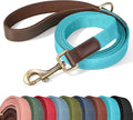 PU Leather Dog Leash for Medium Dogs, 5ft Padded Handle, Light Blue | Comfortable Grip for Daily Walking Training, Full Control, Metal D-ring, Tangle-Free 360° Swivel Clasp, Easy to Clean, 3/4in by Didog