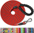 NTR Long Dog Leash, 20FT Reflective Leash with Swivel Lockable Hook and Comfortable Padded Handle, Puppy for Walking, Hunting, Camping, Backyard Small Medium Large Dogs, Red, 20ft*1/3/'' by NTR