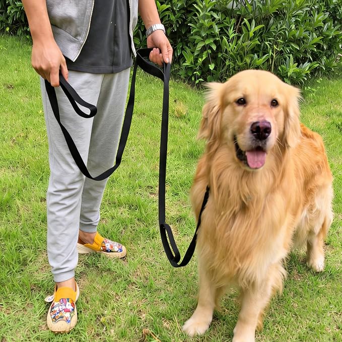 3 Handle Dog Leash 10FT Triple Handle Reflective Large Medium Dog | Multi Handles Heavy Duty Training Lead with Padded Traffic Handles for Control and Safety - Image 5