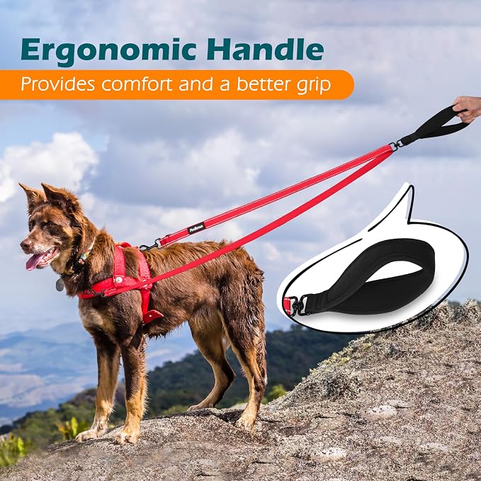 PetBonus Two Point Control Dog Leash, No Tangle Training Walking Leashes | Soft Padded Handle, Reflective, Works with No Pull Harnesses, Converts to Single Lead for Medium Large Dogs, Purple - Image 5