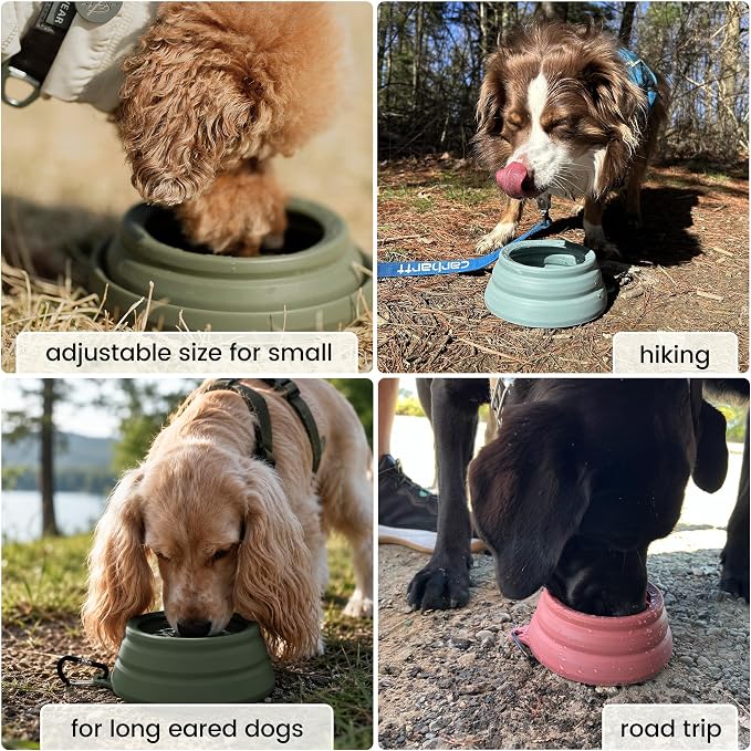 OHMO Spill Proof Collapsible Dog Bowl, 34oz Portable Dog Water Bowl | Low Center Gravity Stability, Tapered Splash Control, Foldable, Dishwasher Safe, Dog Travel Essential, Erythrinus - Image 4