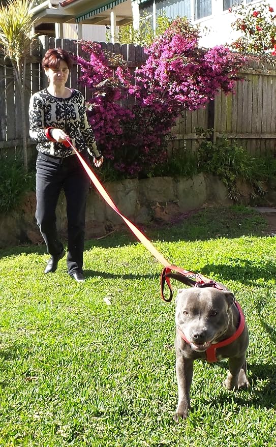 Dog Leash 6ft Long,Traffic Padded Two Handle,Heavy Duty,Reflective Double Handles Lead for Control Safety Training,Leashes for Large Dogs or Medium Dogs,Dual Handles Leads(Red) - Image 3