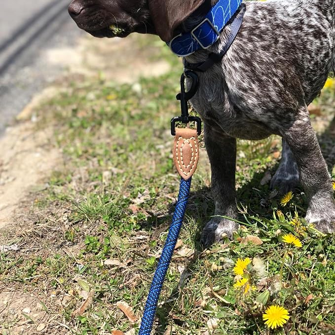 Mile High Life Dog Leash with Genuine Leather-Wrapped Ends, 4/5/6FT | Tangle-Free 360° Swivel Clasp Heavy Duty Rope Leash | Small Medium Large Dogs | Daily Walking (Blue, 60 Inch, 1/2") - Image 6