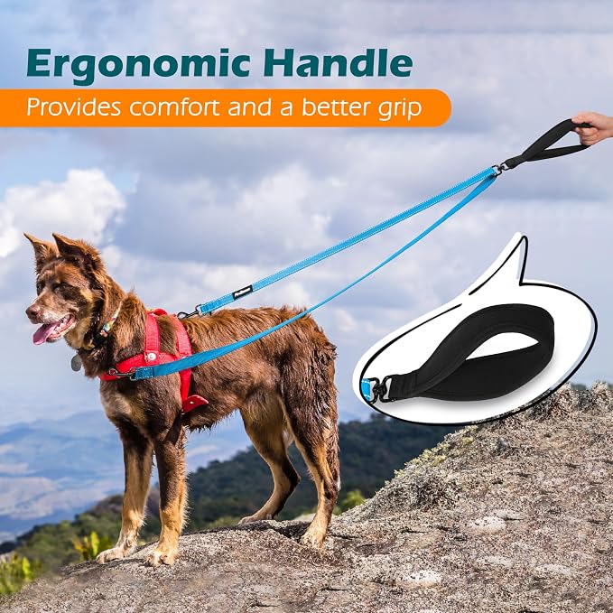 PetBonus Two Point Control Dog Leash, No Tangle Training Walking Leashes | Soft Padded Handle, Reflective, Works with No Pull Harnesses, Converts to Single Lead for Medium Large Dogs, Light Blue - Image 5