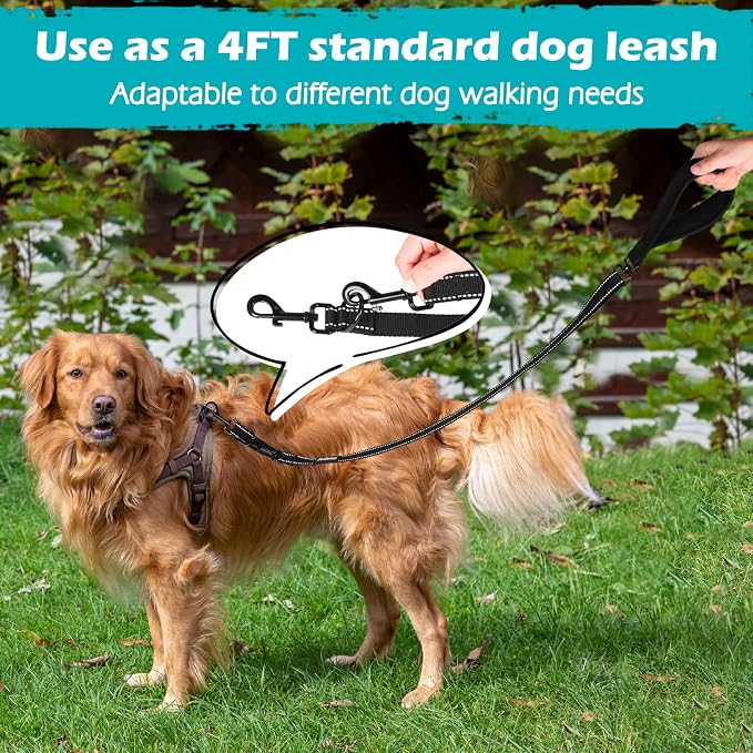 PetBonus Two Point Control Dog Leash, No Tangle Training Walking Leashes | Soft Padded Handle, Reflective, Works with No Pull Harnesses, Converts to Single Lead for Medium Large Dogs, Black - Image 6