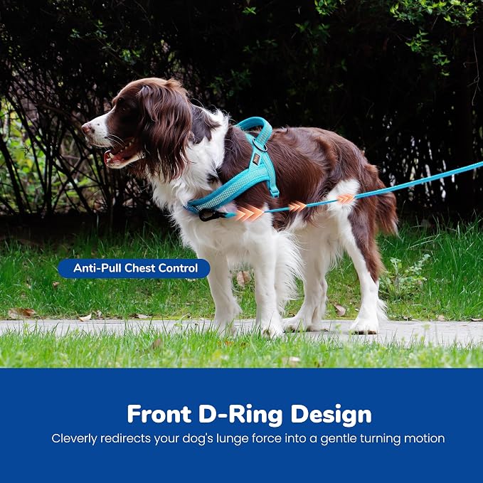 No Pull Dog Harness for Medium Dogs, Breathable Mesh Padded, Blue, M | Quick Fit, Easy On and Off, Adjustable, Reflective Vest Harness for Night Safty, Easy for Walking and Training, Chest 21-26" - Image 5