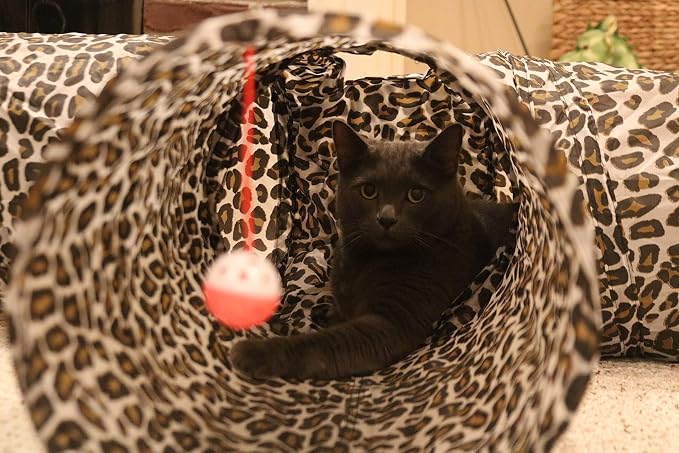 3 Way Cat Tunnel. Extra Large 12 Inch Diameter and Extra Long. A Big Collapsible Play Toy. Wide Pet Tunnel Tube for Rabbits, Kittens, Large Cats, and Dogs (Animal Print) - Image 9