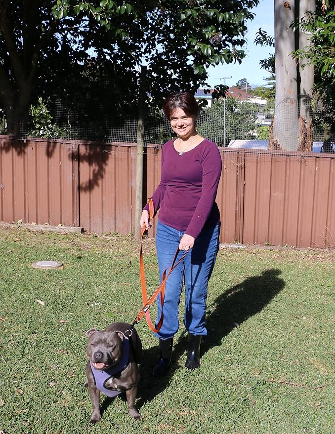 Dog Leash 6ft Long,Traffic Padded Two Handle,Heavy Duty,Reflective Double Handles Lead for Control Safety Training,Leashes for Large Dogs or Medium Dogs,Dual Handles Leads(Orange) - Image 4