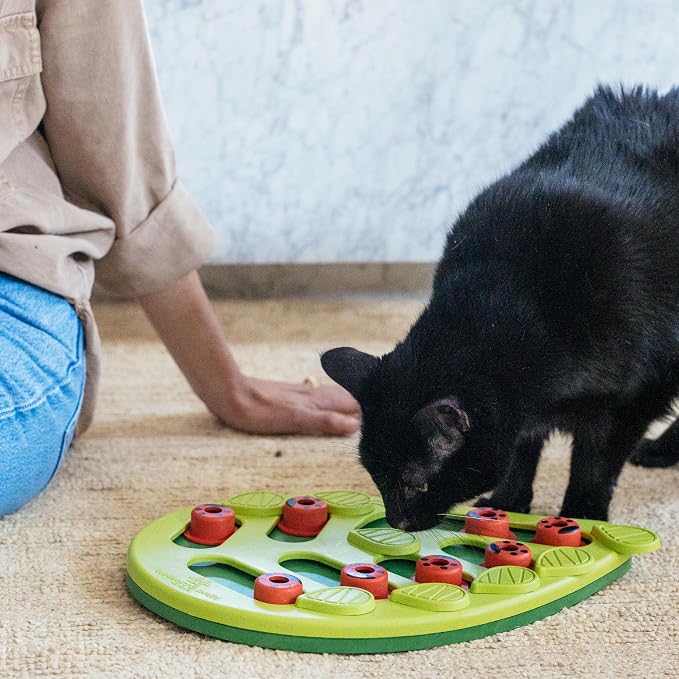 Catstages Nina Ottosson Buggin’ Out Puzzle & Play Cat Toy Treat Puzzle, 14" | Level 2 Intermediate, 16 Hidden Treat Cups, Problem Solving, Interactive Enrichment, Slow Feeder, Indoor Cats & Kittens - Image 8