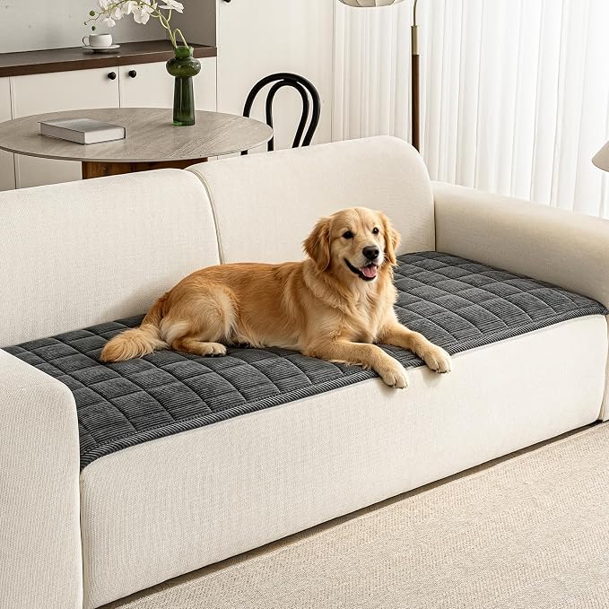 Couch Covers for Dogs, Non Slip Washable Pet Couch Covers for Sofa | 27.6”x94.5” Dark Grey Soft Velvet Sofa Covers for 4 Cushion Couch, Couch Protect Against Pet Hair, Scratches & Stains by PJLZJFBY