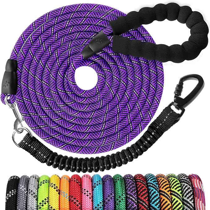 Long Dog Leash 10 FT: Heavy Duty Rope Leashes for Dogs Training with Swivel Lockable Hook Reflective Threads Bungee and Padded Handle - Dog Lead for Large Small Medium Dogs Outside Walking Hiking by jenico