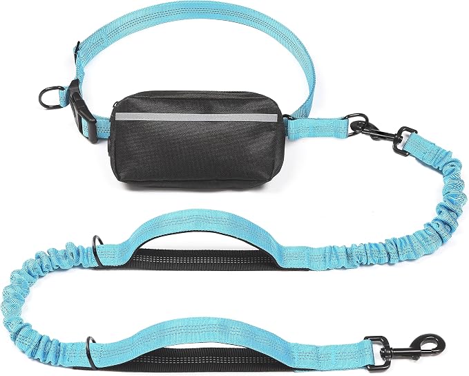 Hands Free Dog Leash with Zipper Pouch, Medium, 8-25 lbs, Blue | Waist Leash, Dual Padded Handles, Shock-Absorbing Bungee, Adjustable Waist Belt, Walking and Running by iYoShop