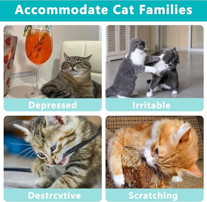 MMaiiu 5pcs Catnip Toys, Funny cat Toy, bite Resistant cat Toys | Indoor Cartoon cat Toys for cat,cat chew Toys - Image 5