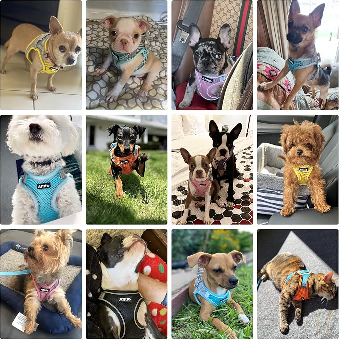 AIITLE Small Dog Harness and Leash Set, Step-in Puppy Pet Vest, Yellow XXXS | Light, Soft, Breathable Air Mesh, Escape-Proof, Easy on and Remove with Hook & Loop, Secure Reflective for Walking - Image 2