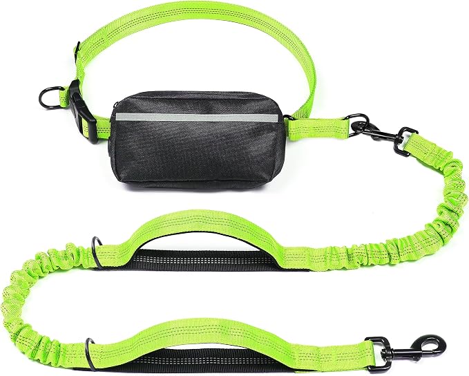 Hands Free Dog Leash with Zipper Pouch, Large, 25-120 lbs, Green | Waist Leash, Dual Padded Handles, Shock-Absorbing Bungee, Adjustable Waist Belt, Walking and Running by iYoShop