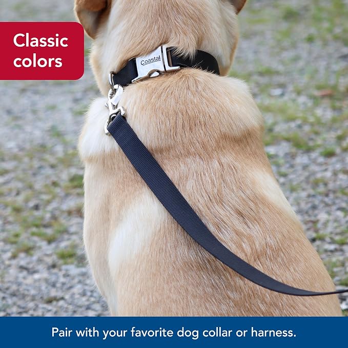 Coastal Pet Single-Ply Dog Leash - Sturdy Pet Leash - Comfortable & Stylish - Resists Fraying - Vibrant & Fade-Resistant Color - Black, 3/8" x 6' - Image 7