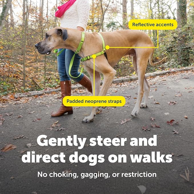 PetSafe Easy Walk Deluxe Dog Harness, No Pull Dog Harness – Perfect for Leash & Harness Training – Stops Pets from Pulling and Choking on Walks – Large, Apple - Image 6