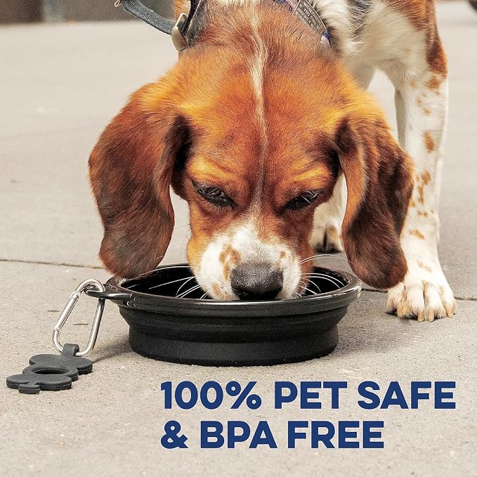 Bonza Collapsible Dog Bowls - 2 Pack, Small 12 oz, Dog Travel Accessories, Silicone Portable Dogs Bowl & Water Dish with Reinforced Rim & Carabiner for Hiking, Camping, and Car Trips, Light Gray - Image 8