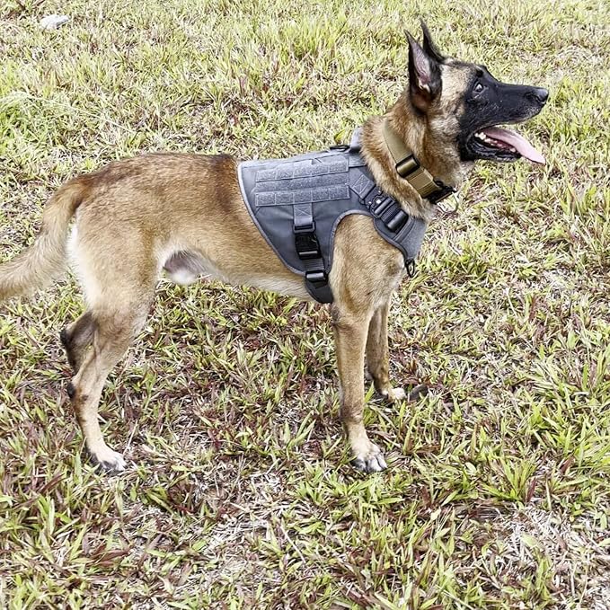 ICEFANG Tactical Dog Harness for X-Large Dogs,Reflective No Pull Dog Vest | with Control Handle,Adjustable,Front Hook,2 Leash Clips,Soft Padded,MOLLE Panel,Grey,X-Large - Image 2