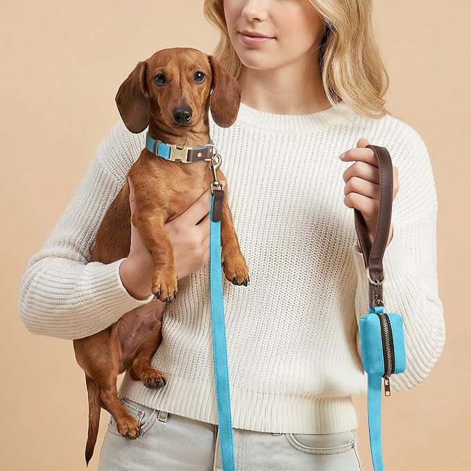 PU Leather Dog Leash for Small Dogs, 5ft Padded Handle, Light Blue | Comfortable Grip for Daily Walking Training, Full Control, Metal D-ring, Tangle-Free 360° Swivel Clasp, Easy to Clean, 5/8in - Image 2