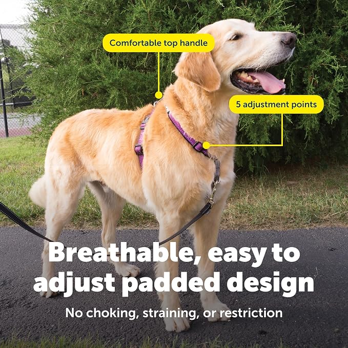 PetSafe 3 in 1 Harness - Fully Adjustable No-Pull Dog Harness - From the Makers of the Easy Walk Harness - Large, Plum | Rests on Chest Not Throat to Reduce Pulling, 5 Adjustment Points, Car Restraint Seatbelt Loop, Reflective Nylon for Low Light - Image 4