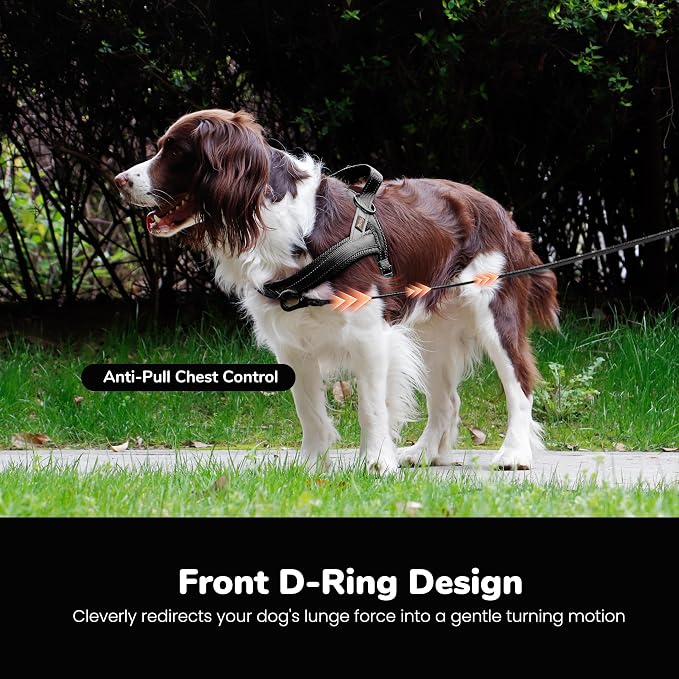 No Pull Dog Harness for Large Dogs, Breathable Mesh Padded, Black, L | Quick Fit, Easy On and Off, Lightweight, Reflective Vest Harness for Night Safty, Easy for Walking and Training, Chest 26-32" - Image 5