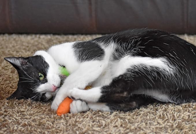 OurPets 100-Percent North American Catnip Filled Carrot Cat Toy 24 Karat - Image 9