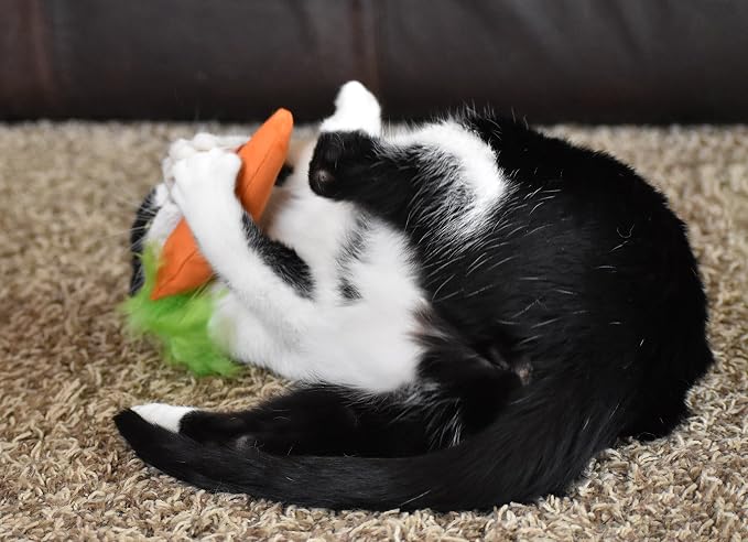 OurPets 100-Percent North American Catnip Filled Carrot Cat Toy 24 Karat - Image 2