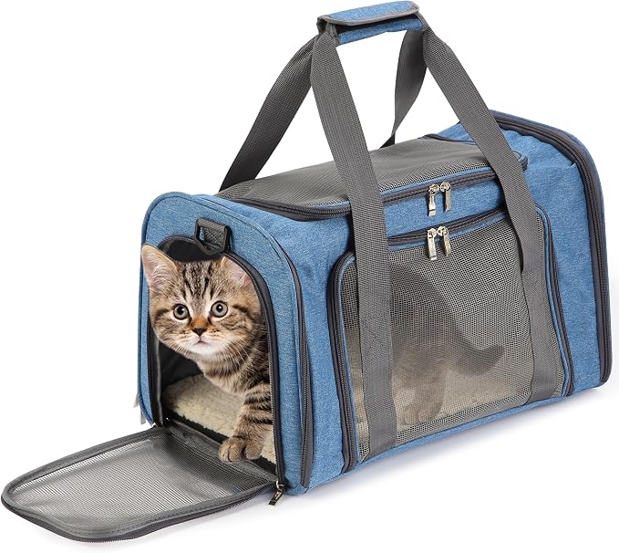 Mr. Pen- Pet Carrier, 17.5" x 11.2" x 11.5", Medium Size, Blue | Portable Travel Carrier for Small Pets, Cats & Small Dogs, Breathable Mesh, Safety Inner Leash by MrPen