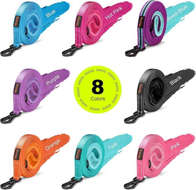 Didog 6FT Reflective Dog Leash for Small Medium Dogs, Slim 5/8" Width, Teal | Soft Padded Handle, Plush Comfort Grip, Tangle-Free, 360° Swivel Clasp for Daily Walking and Training, Night Safety - Image 2