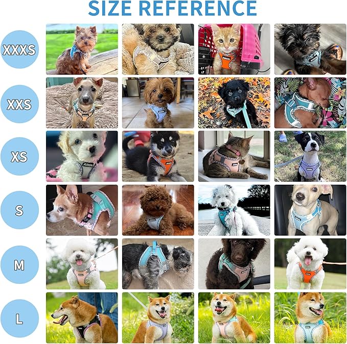 Teacup Puppy Harness with Leash, Escape-Proof Design, Sage S | No Pull Step-in Dog Vest Harness, Breathable Mesh, Reflective Design with Magic Tape, Outdoor Use for Poodles, Pomeranians - Image 3