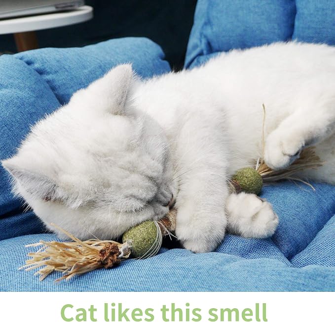 PAZ'S GIFT Catnip Toy Cat Toys Catnip Toy cat chew Toy cat Kicking silvervine Stick Teeth Cleaning Cute Kitten Teething Indoor Interactivecat Dental Care Matatabi (Catnip Balls) - Image 6