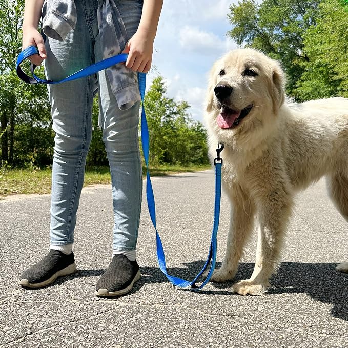 Joytale Dog Leash for Large Dogs that Pull, Double Handle, 5FT, Royal Blue | Traffic Handle for Control, Padded Handle Reduces Hand Strain, Reflective Stitching for Night Safety, Strong Nylon Webbing - Image 7