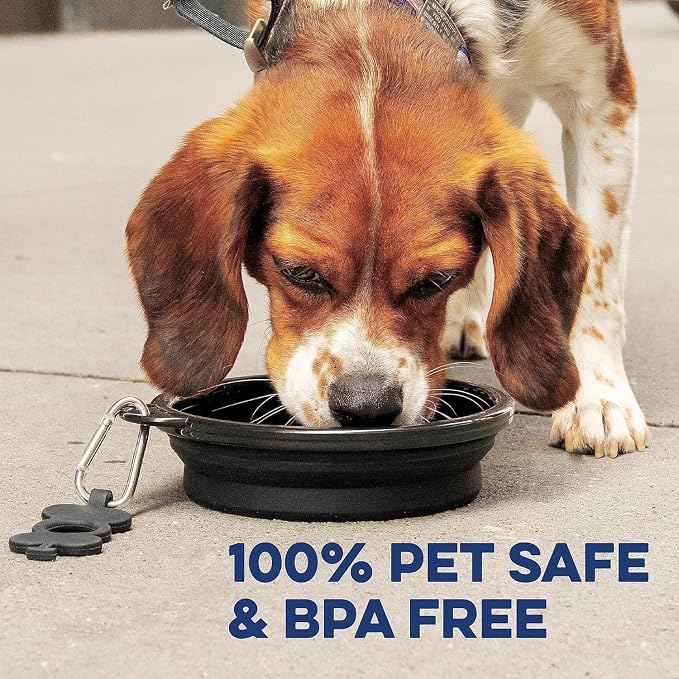 Bonza Collapsible Dog Bowls - 2 Pack, Small 12 oz, Dog Travel Accessories, Silicone Portable Dogs Bowl & Water Dish with Reinforced Rim & Carabiner for Hiking, Camping, and Car Trips, Black - Image 8
