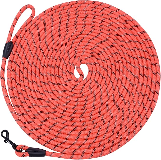 Long Dog Leash for Training 20Ft-Reflective Nylon Rope with Swivel Hook-Recall Agility Lead for Large Small Medium Dogs Outside Walking Hiking-Orange by HiKiss