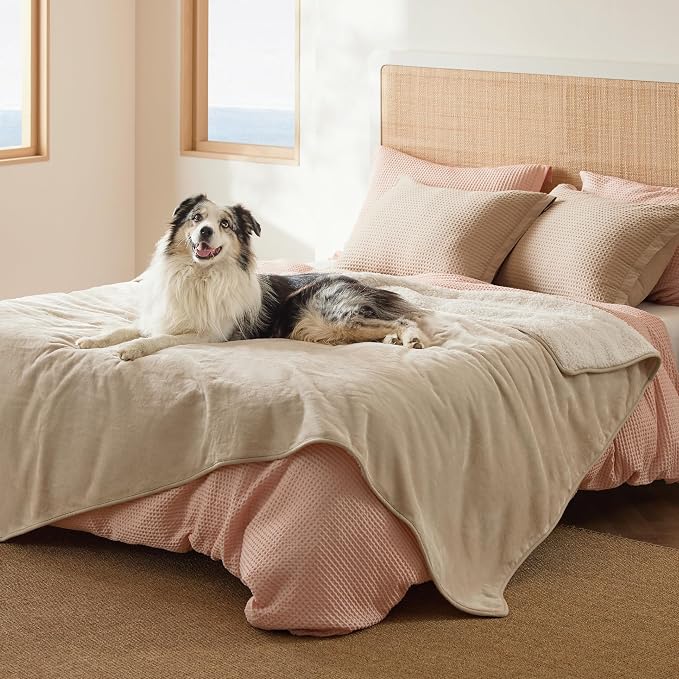 Bedsure Waterproof Dog Blankets for Large Dogs Sherpa Fleece Throw, 50X70 | Washable Soft Plush Pet Cat Blanket for Couch Cover, Reversible Cozy Calming Furniture Protector Warm for Senior Dogs,Cream - Image 10