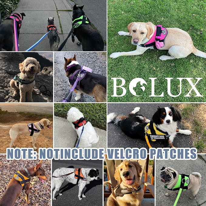 Dog Harness, No-Pull Reflective Dog Vest, Breathable Adjustable Pet Harness with Handle for Outdoor Walking - No More Pulling, Tugging or Choking - Image 7