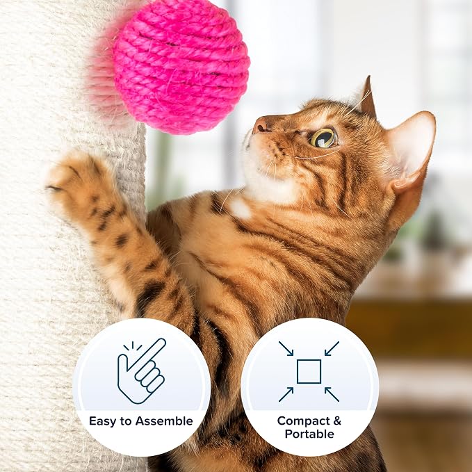 17-Inch Cat Scratching Post - Sisal Rope and Carpet Scratching Pole with Bright Pink Hanging Ball Toy for Adult Cats and Kittens by PETMAKER (Gray) - Image 3